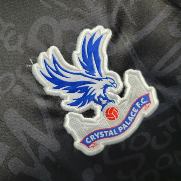 Crystal Palace III 23/24 - Imagen 3