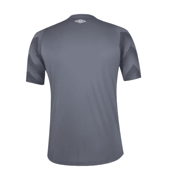 Camisa Santos 24/25 Goleiro - Cinza - Versão Torcedor - Imagen 2