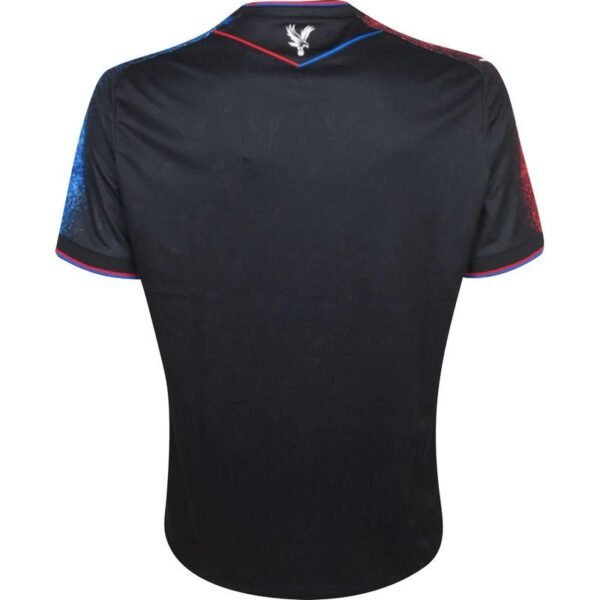 Crystal Palace III 24/25 - Imagen 2