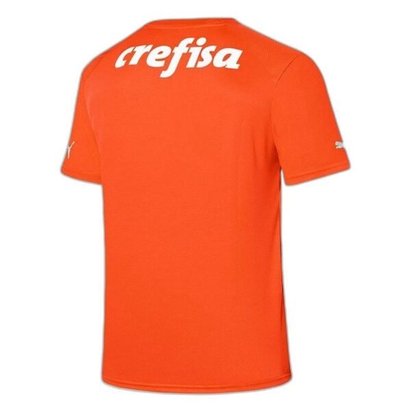 Camisa Palmeiras 23/24 Goleiro III Third - Versão Torcedor - Imagen 2