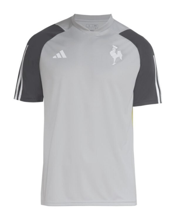 Camisa Atlético Mineiro 24/25 Treino - Cinza - Versão Torcedor