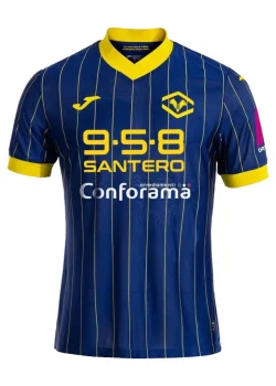 2004-2024-12-02t165820-226-fe1ee9a34d54d9230417331695431145-1024-1024