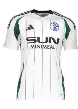 2004-3-344aa0531c1dd98b6b17316106692339-1024-1024