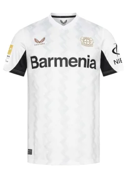 2004-7-2543d86b07e2a118e217315277137384-1024-1024