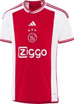 afc-ajax-23-24-i-home-jersey-player-version-1