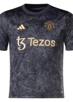 manchester-united-24-25-stone-roses-pre-match-jersey-fan-version-1