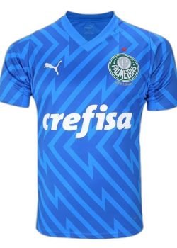 palmeiras-24-25-goalkeeper-i-home-jersey-fan-version-1