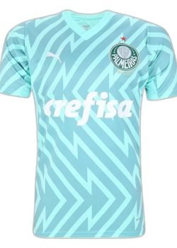 palmeiras-24-25-goalkeeper-ii-away-jersey-fan-version-1