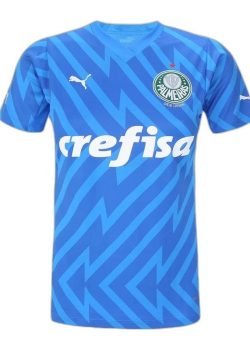palmeiras-24-25-goalkeeper-jersey-womens-1
